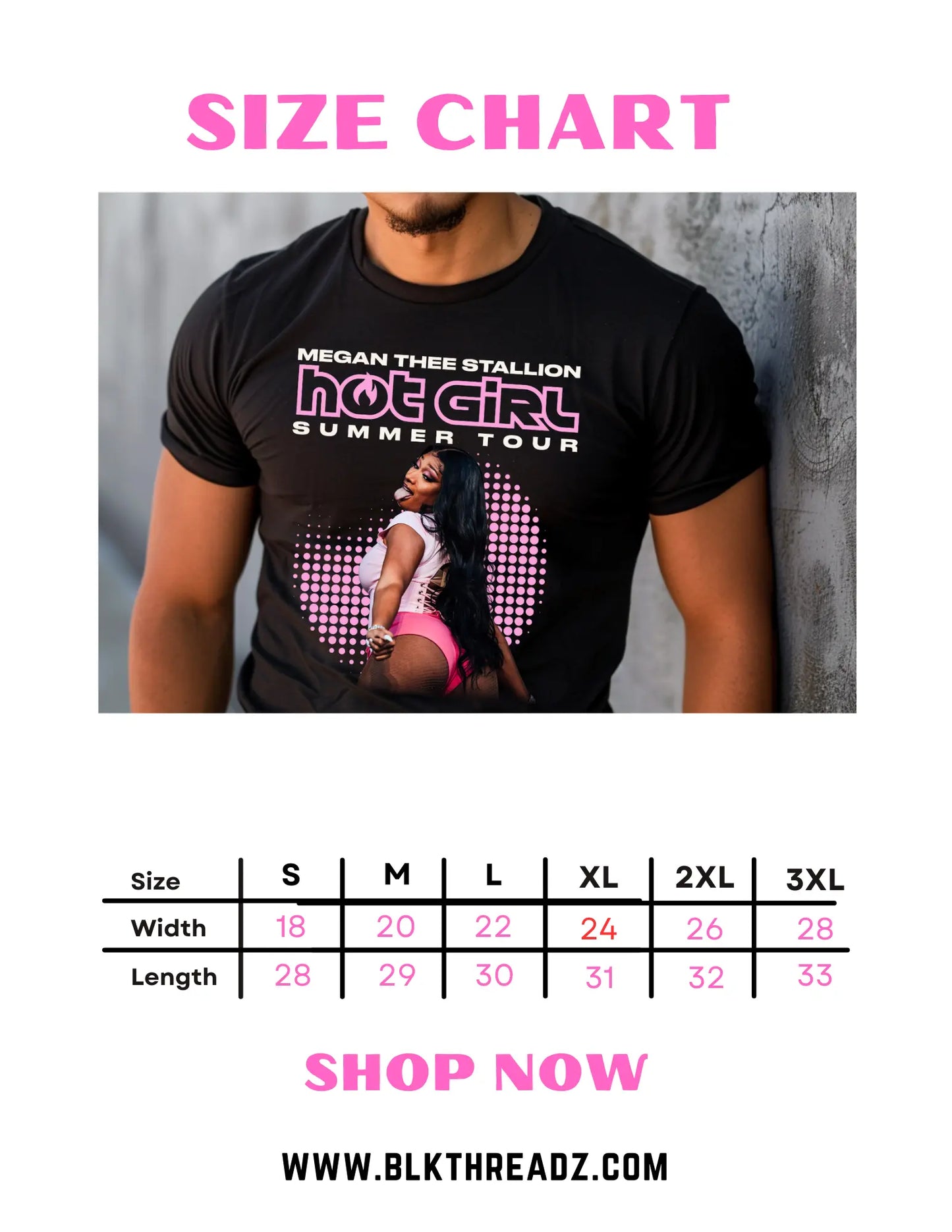 Megan Thee Stallion Hot Girl Summer Tour Black T-Shirt: Limited Edition - Black Threadz