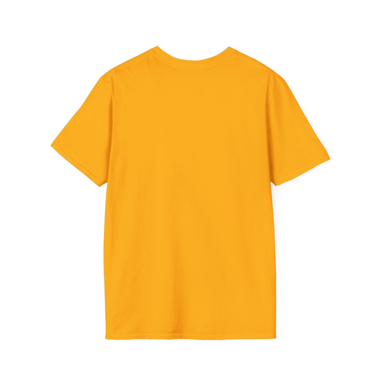 Anti Trump Biggest Mistake Tee