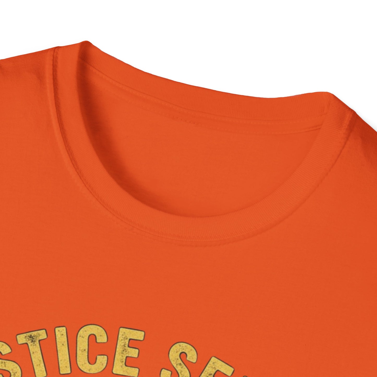 Justice Served Anti-Trump Arrest T-Shirt | No Kings & Accountability Tee