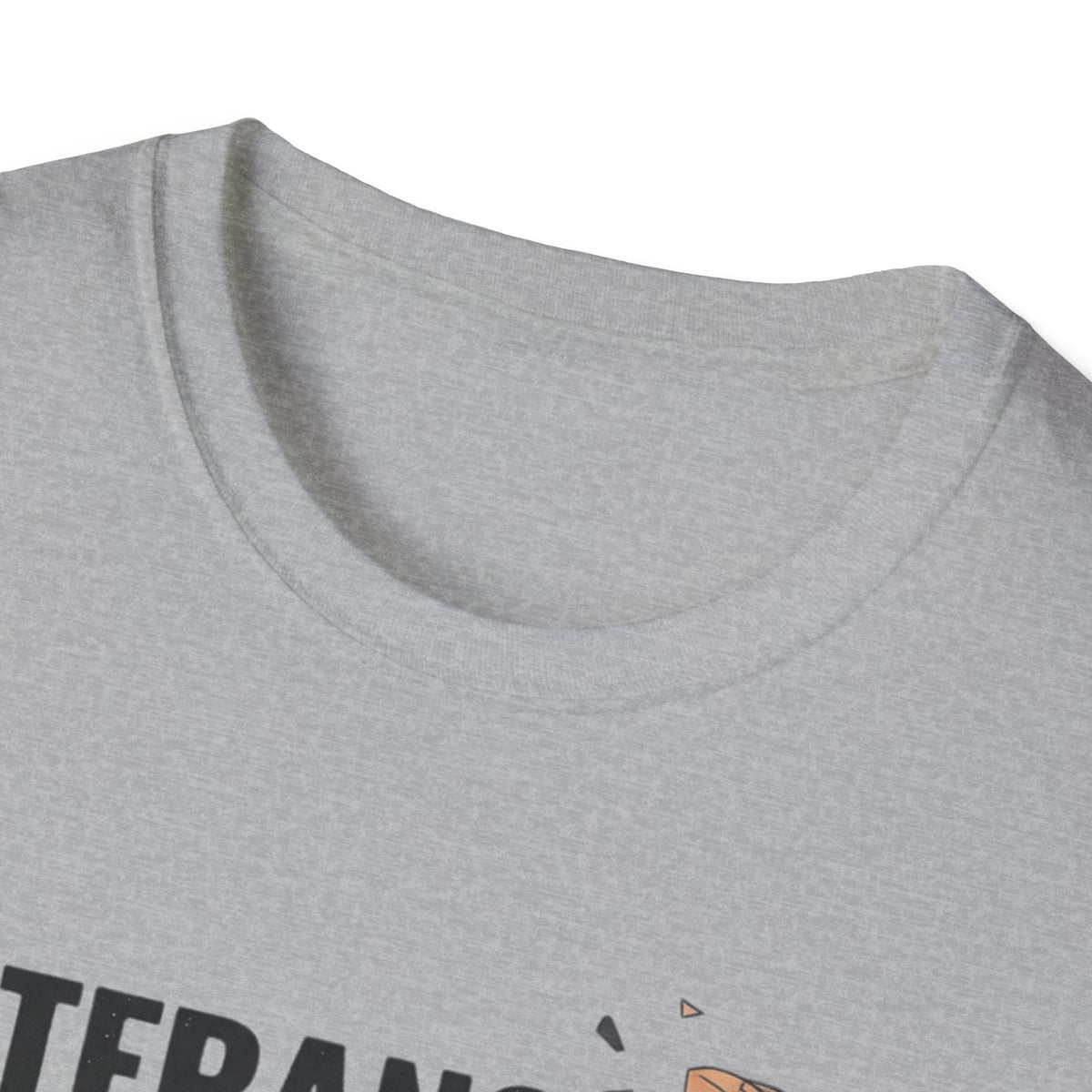Veterans Against Trump T-Shirt | Patriotic No Kings & Protest Apparel