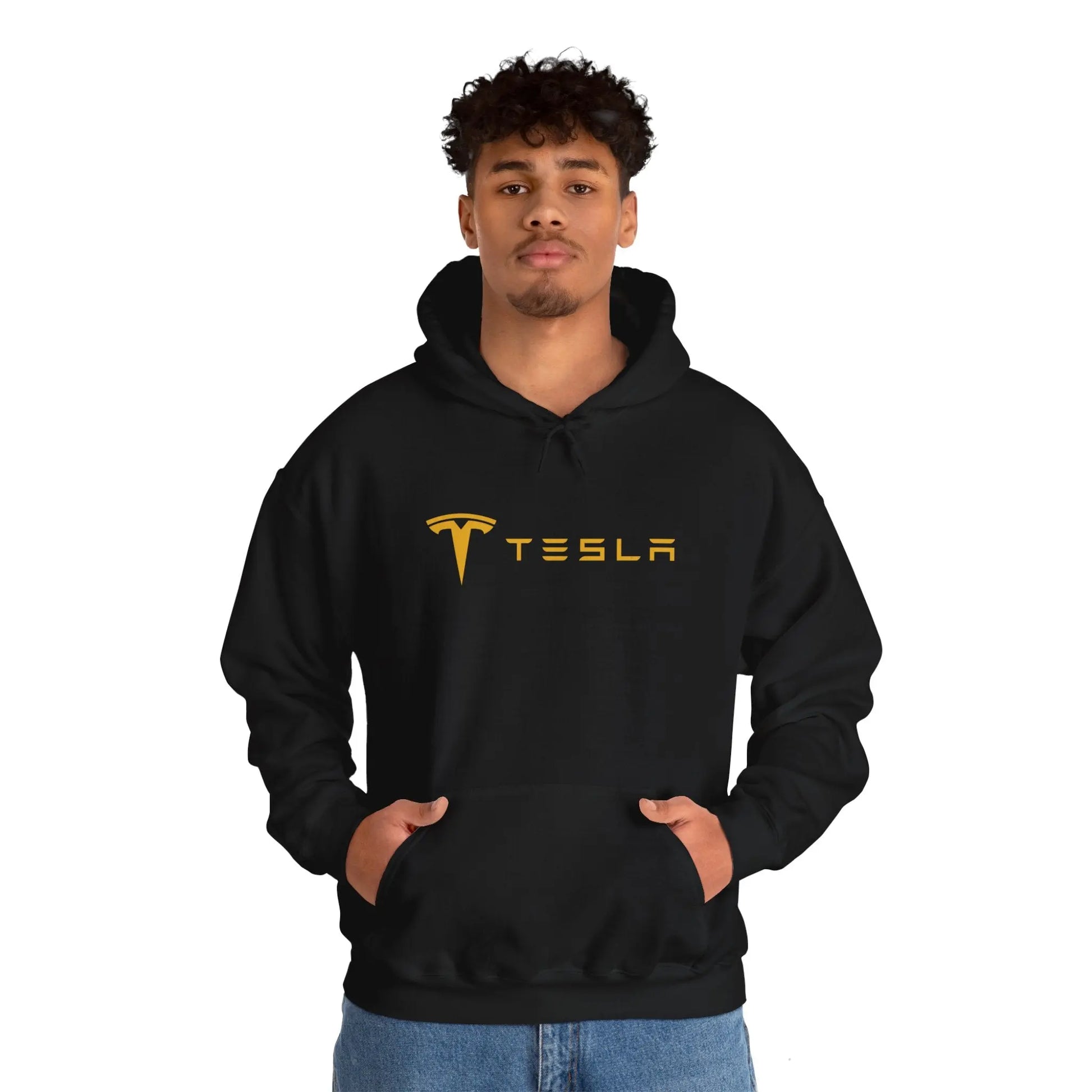 Tesla Cybertruck on a Beach - Black Hoodie for Electric Car Enthusiasts - Black Threadz